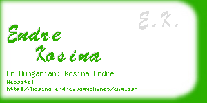 endre kosina business card